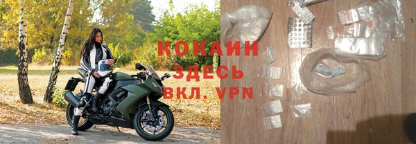 индика Великий Новгород