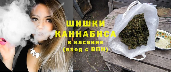 индика Великий Новгород