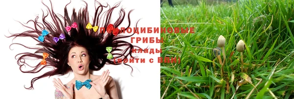 индика Великий Новгород