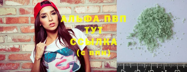 индика Великий Новгород