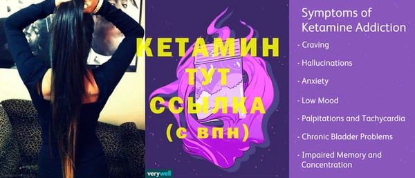 индика Великий Новгород